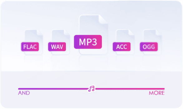 Wide Audio Format Support