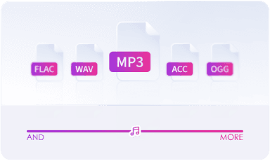 Support Various Audio Formats