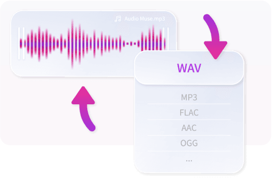 Support Various Audio Formats 