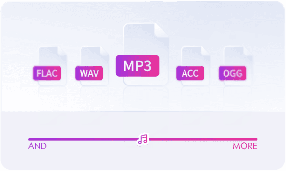 Comprehensive Audio Format Support